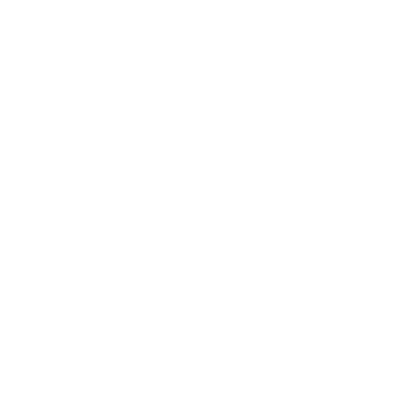 Летняя школа